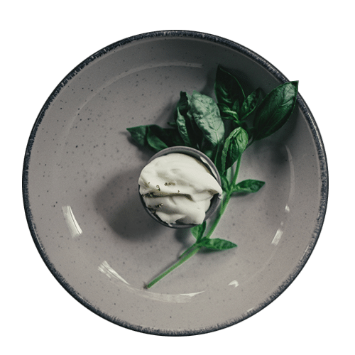 Trüffel-Dip