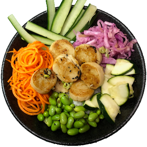Bowl Teriyaki Seitan (Vegan)