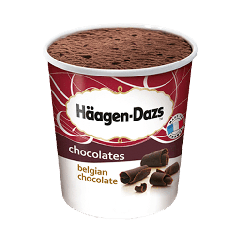 Häagen Dazs Belgian Chocolate 460ml
