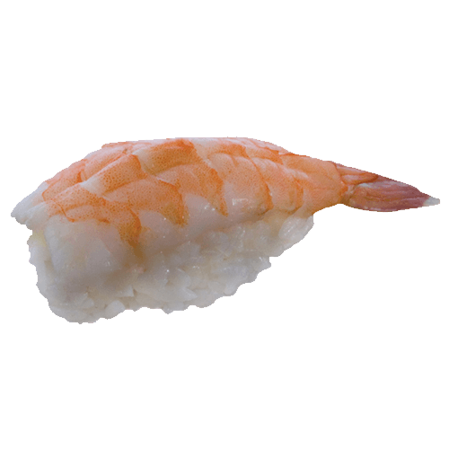 Nigiri Ebi