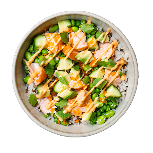 Japanese Salmon Bowl (scharf, laktosefrei, glutenfrei)