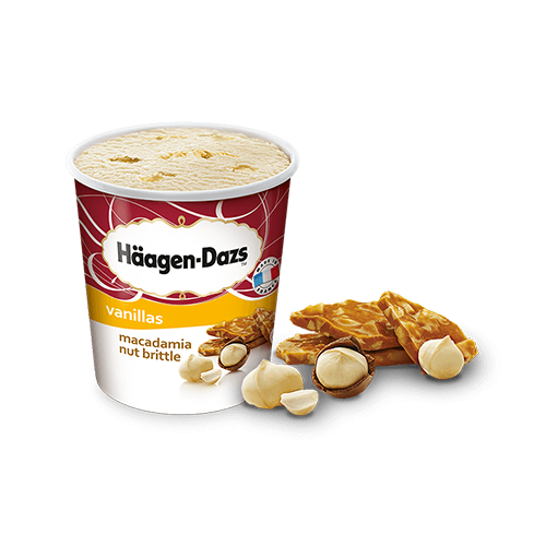 Häagen Dazs Macadamia Nut Brittle 460ml