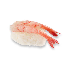 Amaebi Nigiri