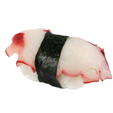 Tako Nigiri