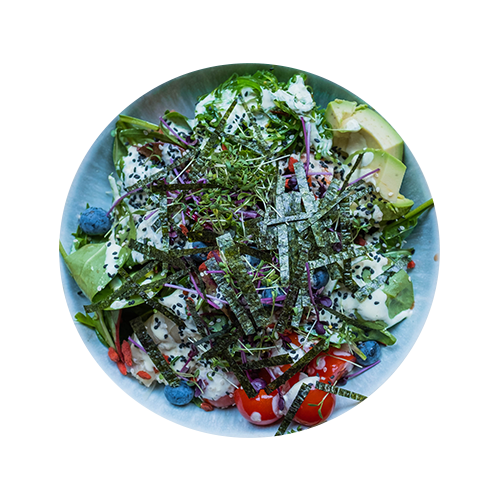 Wild Bowl