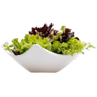 Grüner Salat