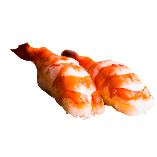 Nigiri Ebi