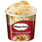 Häagen Dazs Macadamia Nut Brittle 500ml