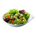 Salat Basic