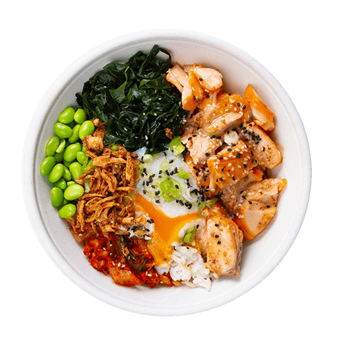 Salmon Bowl