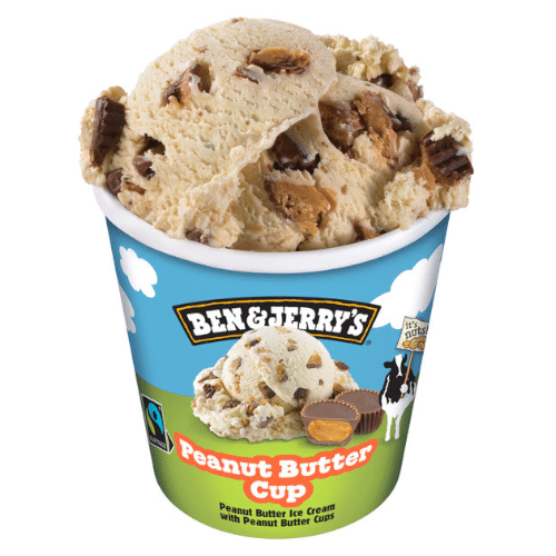 Ben & Jerry's Fudge Peanut Butter Cup (465ml)