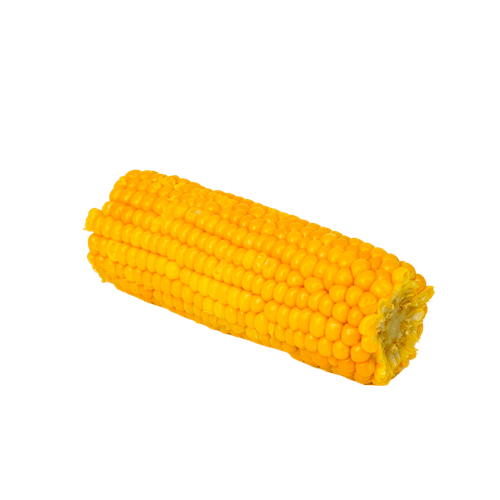 Ganzer Maiskolben