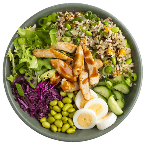 Bowl Teriyaki Chicken