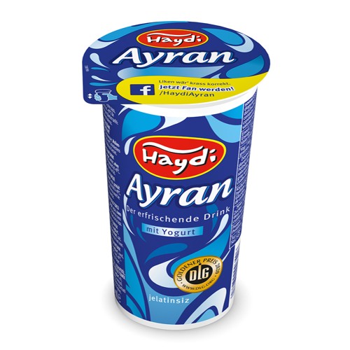 Haydi Ayran Yogurt 2% Fett 0.25l