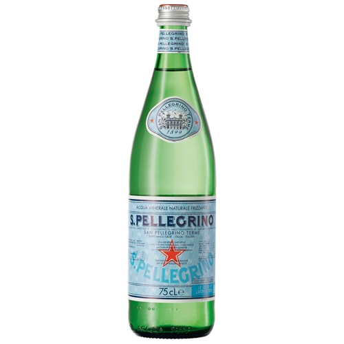 San Pellegrino Spritzig 0.5l (EINWEG)