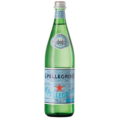 San Pellegrino Spritzig 0.5l (EINWEG)