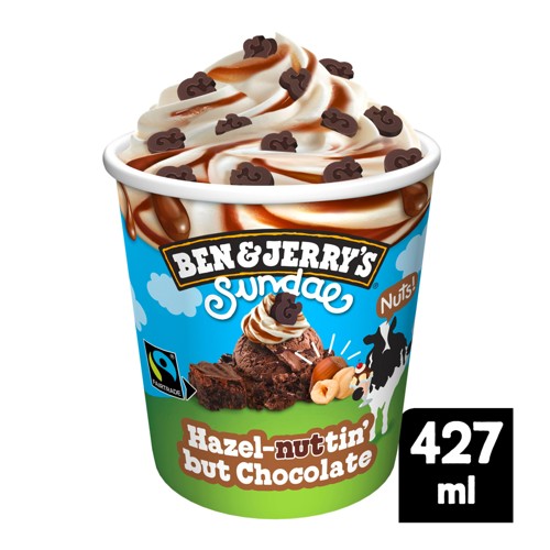 Ben & Jerry's Eis Sundae Haselnuss und Schokolade 0.465l