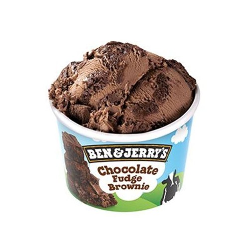 Ben & Jerry's Icecream 100ml Chocolate Fudge Brownie