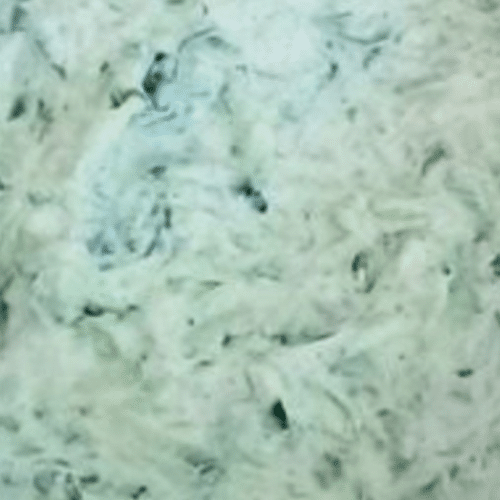 Tzatziki