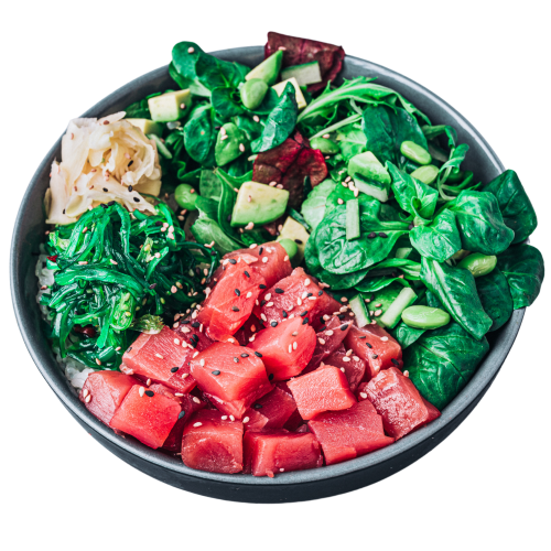 Tekka Bowl