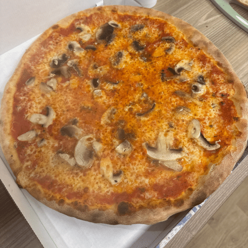 Pizza Funghi
