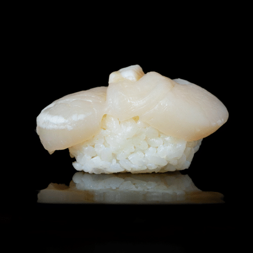 Hotategai Nigiri