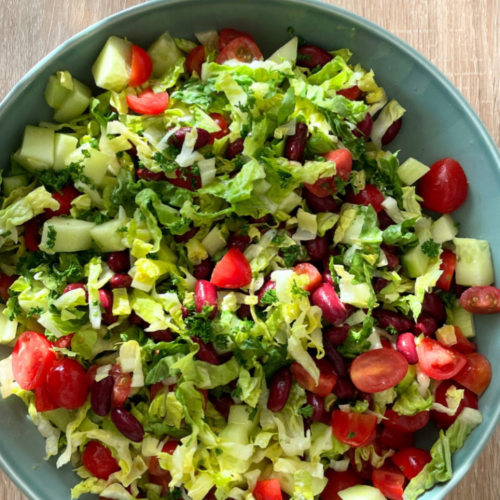 Gemischter Salat mit Käse (groß)