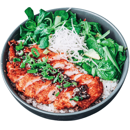 Torikatsu Bowl