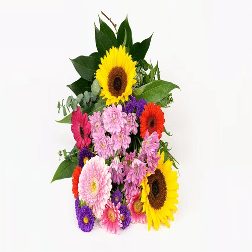 Blumenwiese Extra Groß