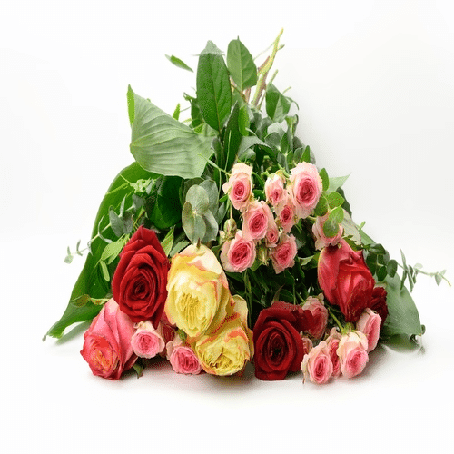 Happy Birthday klein