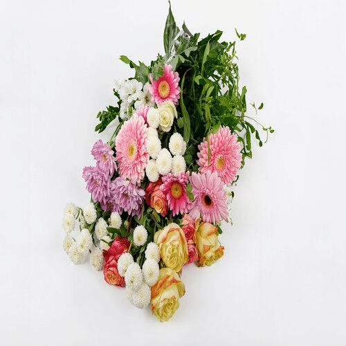 Romanze in Pastell Groß