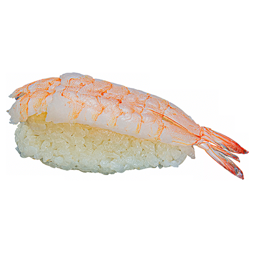 Ebi Sushi Nigiri