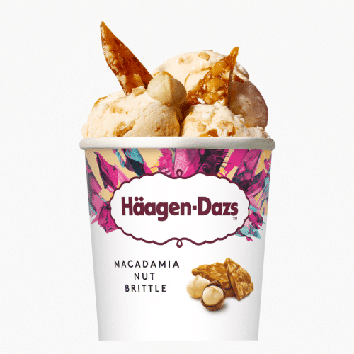 Häagen-Dazs Macadamia Nut Brittle Eis 460ml