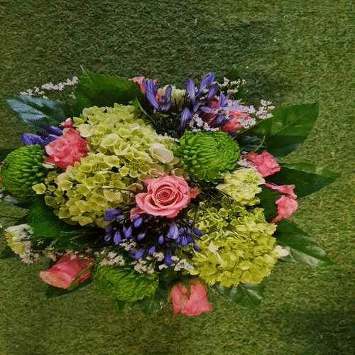 Hortensie grün blau