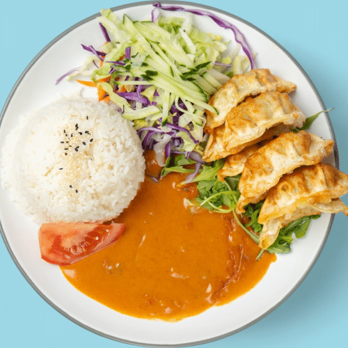 Gyoza Don
