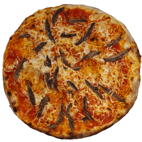 Pizza Sardellen