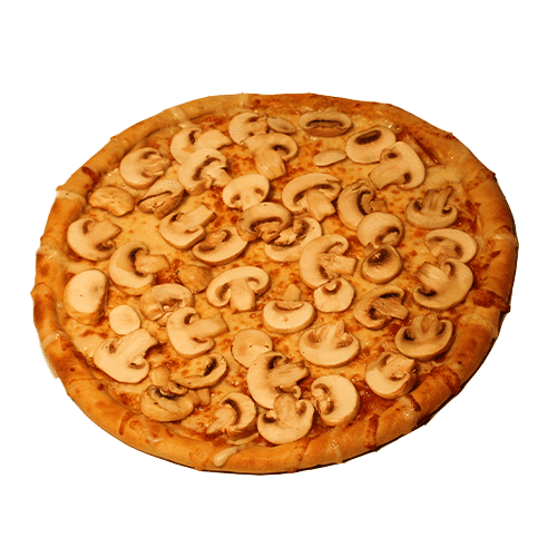 Pizza Fungi
