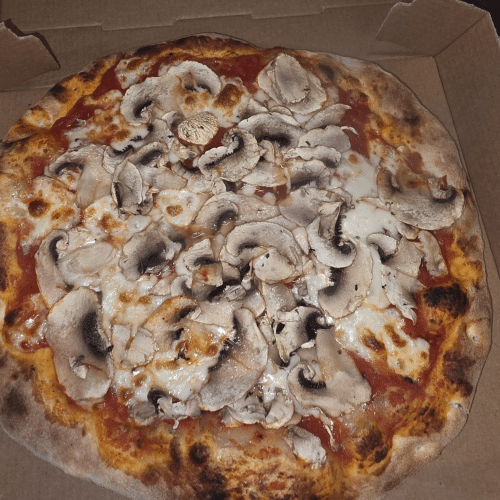 Pizza Champignons