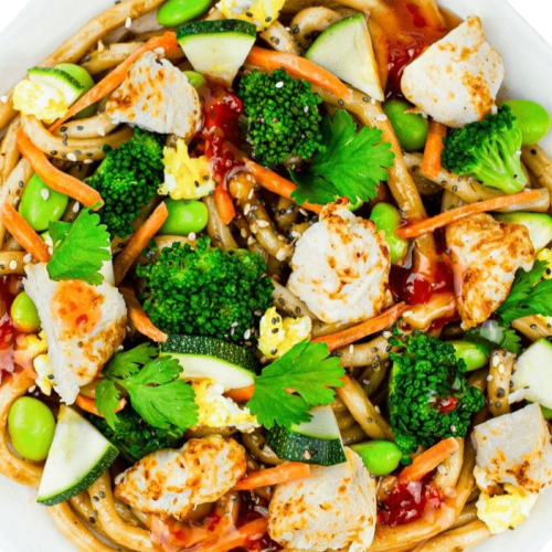 Japanische Udon Nudeln
