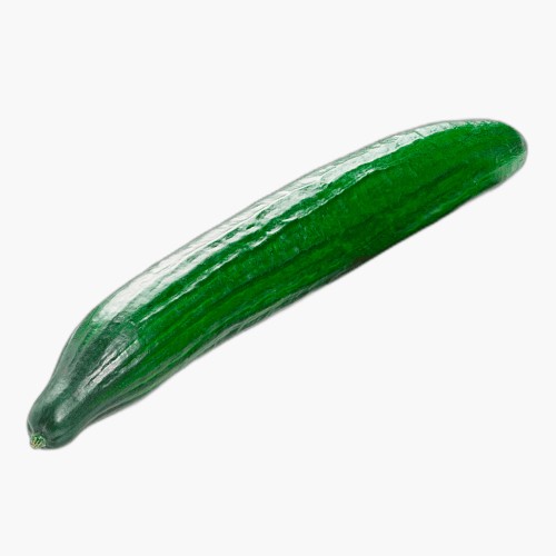 Bio Gurke 1 Stk.