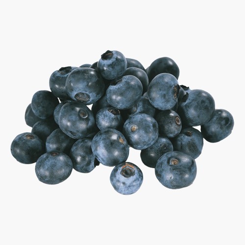 Bio Heidelbeeren 175g