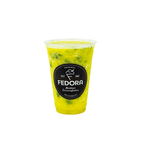 Maracuja-Orange-Minze Iced Fruit Smoothie 0,3l