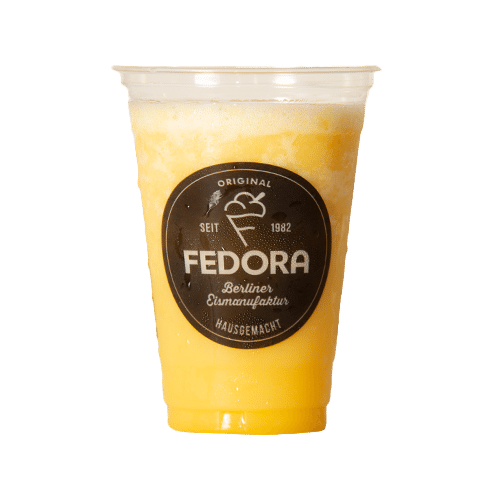 Zitrone-Orange Iced Fruit Smoothie 0,3l