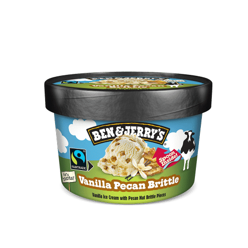 Ben & Jerry's Vanilla Pecan Brittle, 100 ml