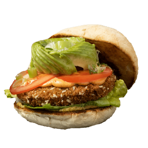 Pretty Healthy Burger (vegan)