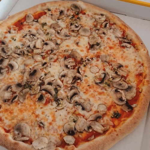 Pizza Funghi