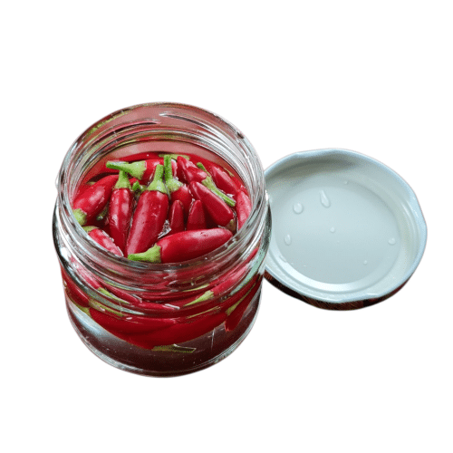 Feurig scharfe Bio-chilischoten in Essig
