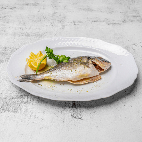 Dorade Royal Tsipoura