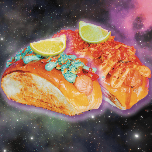 Taki Mix Dog