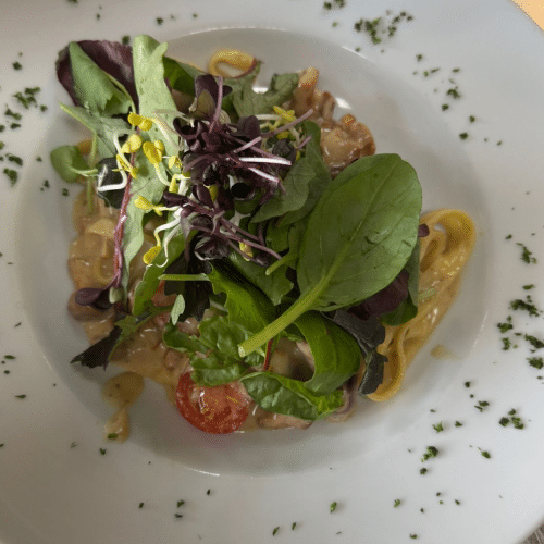 Frische Pfifferlings- Tagliatelle